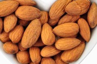 almond